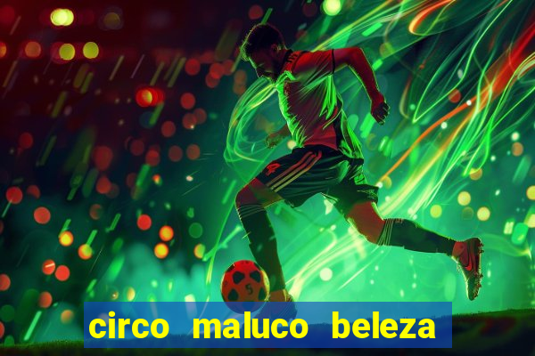 circo maluco beleza recife circo maluco